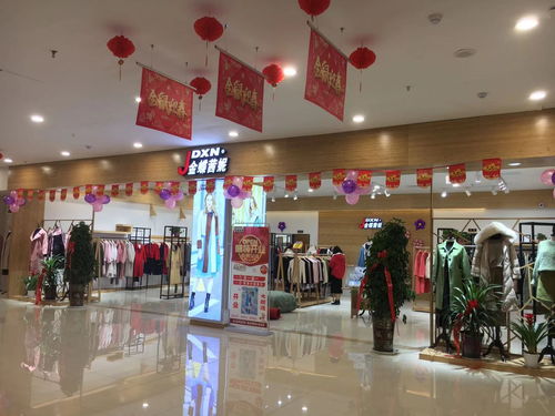 金蝶茜妮女裝新店開店,為你打開一條致富路 服裝招商資訊 中服網
